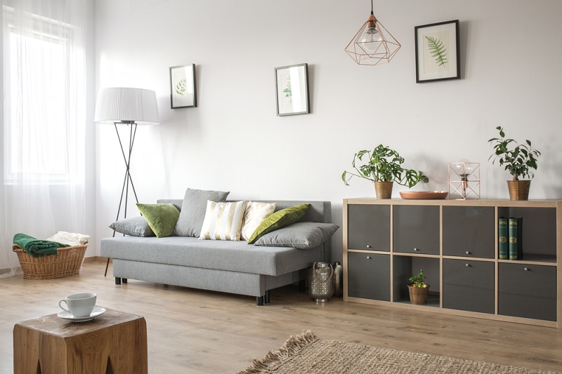 Bố trí cây xanh trang trí nội thất phòng khách