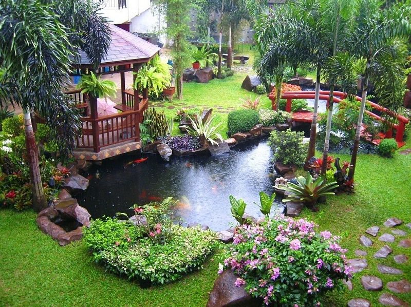 thiết kế hồ cá Koi cho biệt thự sân vườn