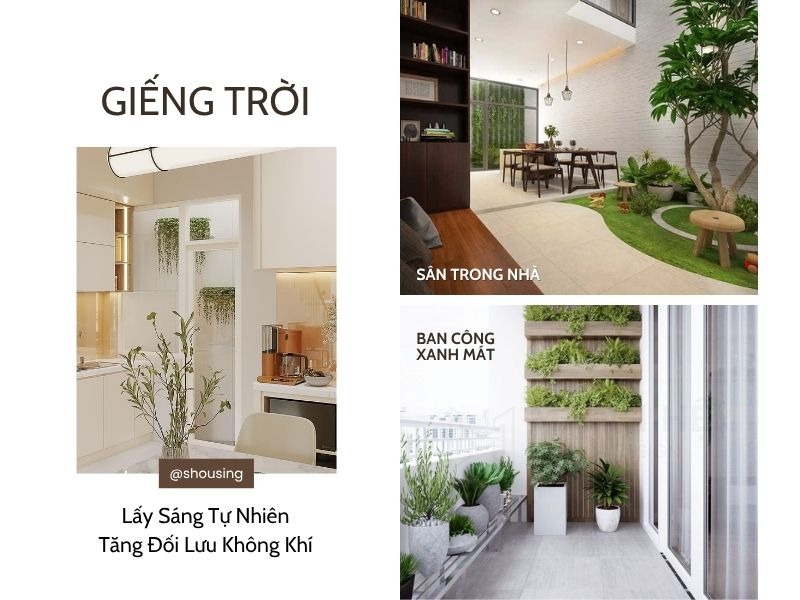 Hãy thử mang thiên nhiên vào nhà, bạn sẽ cảm nhận điều khác biệt
